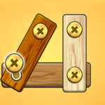 Nut Bolt Screw Puzzle Game